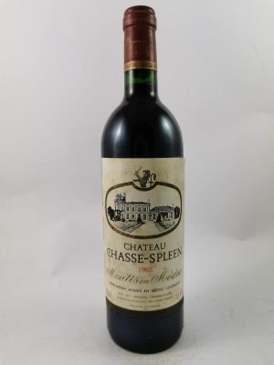 chateau-chasse-spleen813-photo1